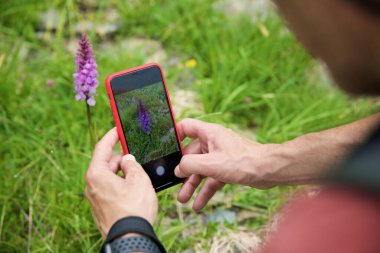 Pireneler 'de bir çiçeğin fotoğrafını çeken yürüyüşçü, İspanya' da Canfranc Vadisi.