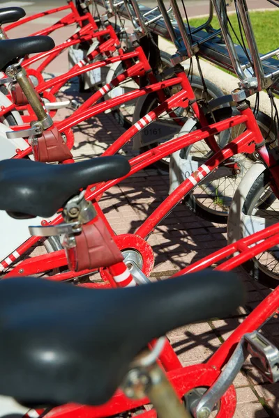 Alquiler Bicicletas Aparcadas Zaragoza Ciudad España —  Fotos de Stock