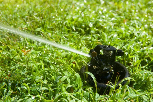 Closeup Sprinkler Watering Garden — Stock Photo, Image