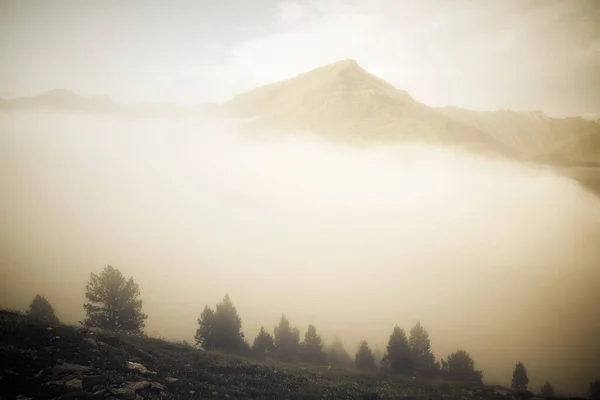 Nebbia Nei Pirenei Valle Del Canfranc Spagna — Foto Stock