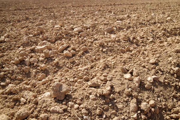 Texture of a plowed field, Zaragoza Province, Aragon in Spain.