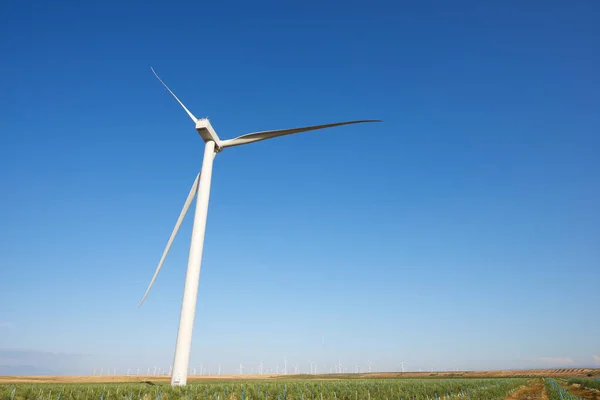 Eoliennes Pour Production Électricité Province Saragosse Aragon Espagne — Photo