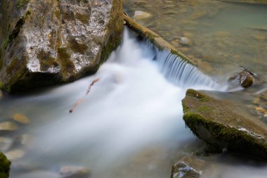 Sansanet Ormanı 'nda nehir, Aspe Vadisi, Fransa' da Pireneler.