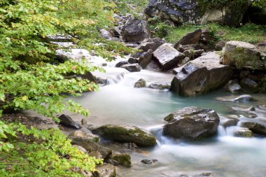Sansanet Ormanı 'nda nehir, Aspe Vadisi, Fransa' da Pireneler.