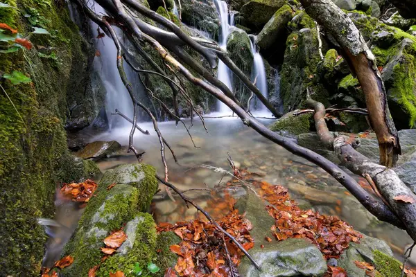 Rzeka Lesie Sansanet Dolina Aspe Pireneje Francji — Zdjęcie stockowe