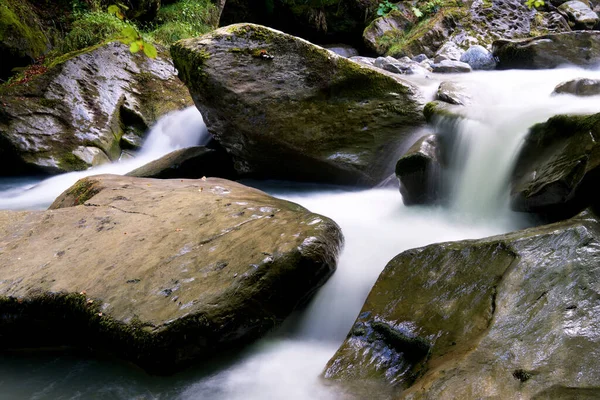 フランスのピレネー山脈 アスパバレー サンサネットの森の川 — ストック写真
