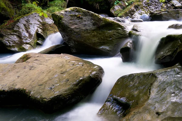 Rivier Sansanet Bos Aspe Vallei Pyreneeën Frankrijk — Stockfoto