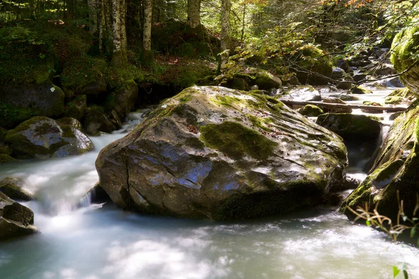 River Sansanet Forest Aspe Valley Pirinéus França — Fotografia de Stock