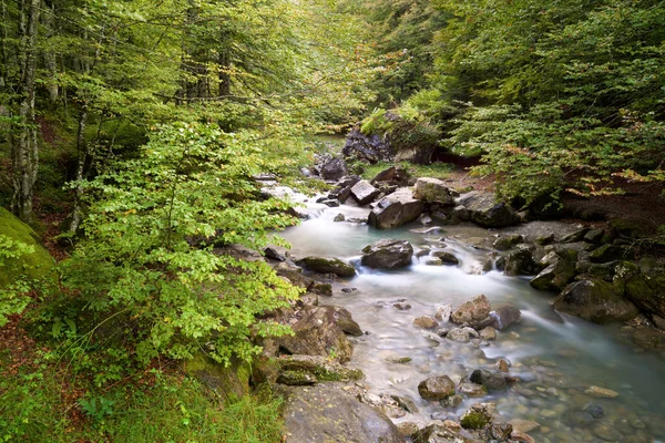 Řeka Sansanetském Lese Aspe Valley Pyreneje Francii — Stock fotografie