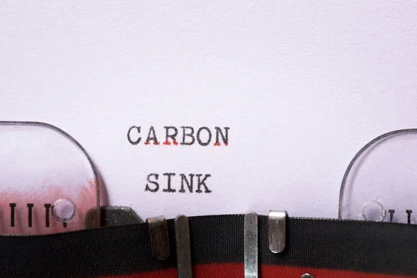 Углеродная Фраза Написанная Пишущей Машинкой — стоковое фото
