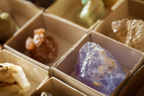 Collection of minerals in cardboard boxes.