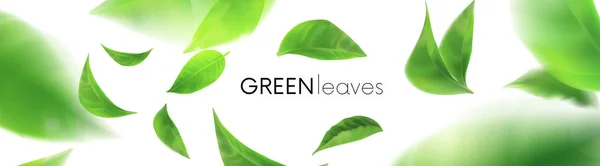Grüne Blätter. Blätter wirbeln in der Luft. Frühling. Element für Design, Werbung, Verpackungsprodukte. weißer Hintergrund 3d — Stockvektor
