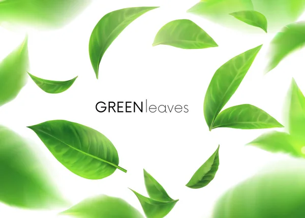 Groene bladeren. Bladeren in de lucht. Voorjaar. Element voorontwerp, reclame, verpakkingsproducten. witte achtergrond 3D — Stockvector