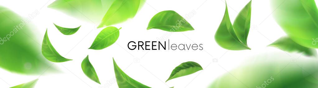 Green leaves. leaves whirl in the air. Spring. Element for design, advertising, packaging products. white background 3d