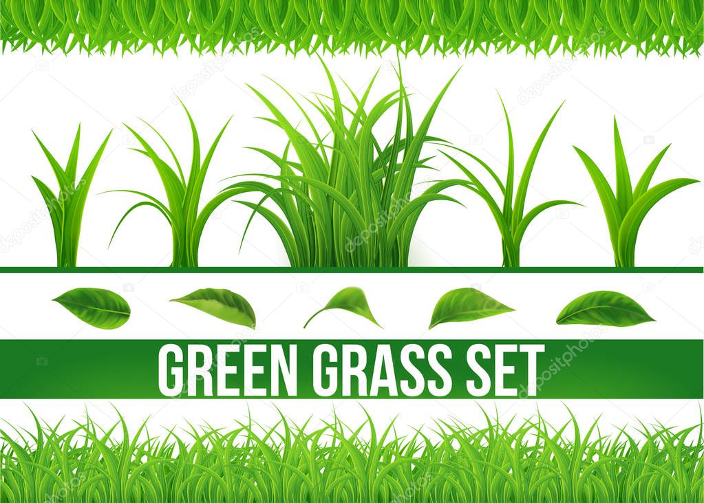Big Green Grass set Isolated white background,fresh spring grass,Border, leaf,panoramic view,3d.