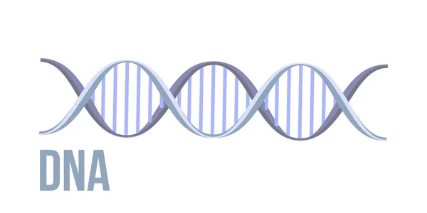 Простой векторный фон структуры ДНК симбола. Молекулярная структура. Плоская 2D — стоковый вектор