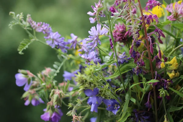 bouquet of flowers, purple flowers, summertime