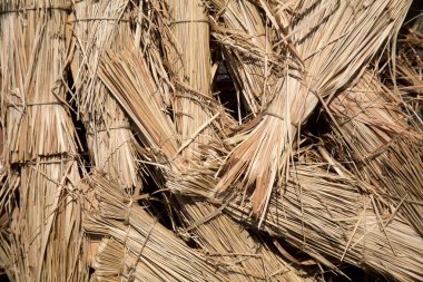 Pirinç saman zemin kaplı