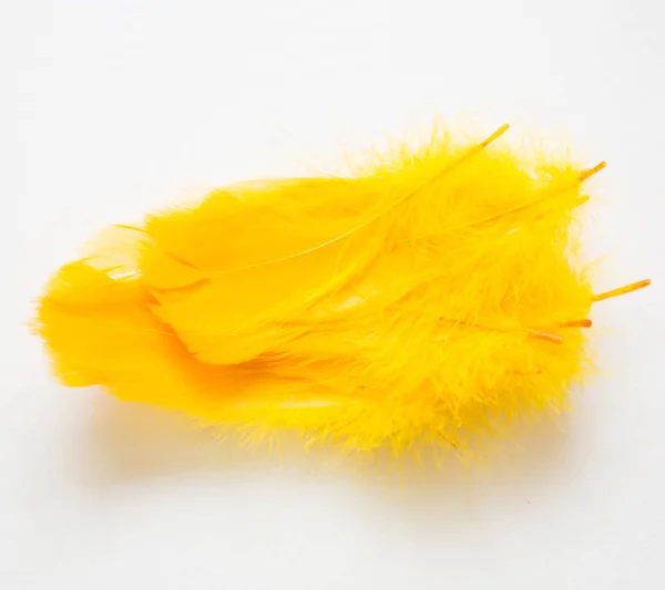Penas Amarelas Isoladas Branco Perto — Fotografia de Stock