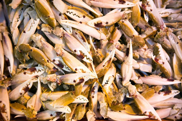 Crab Legs Close — стоковое фото