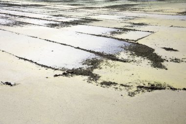 Alan, Doğa arka plan bahar mahallinde