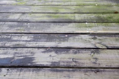 Doğa arka plan kopya alanı, renkli görüntü ile