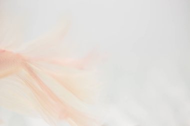 Beyaz arka plan üzerinde Soyut doku