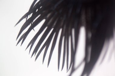 Beyaz arka plan üzerinde Soyut doku