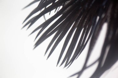 Beyaz arka plan üzerinde Soyut doku