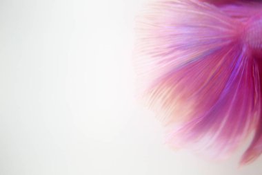 Beyaz arka plan üzerinde Soyut doku