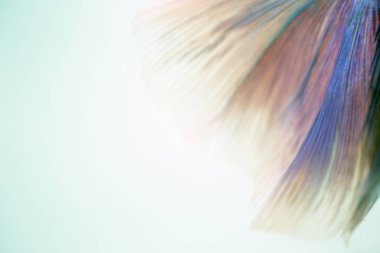 Beyaz arka plan üzerinde Soyut doku