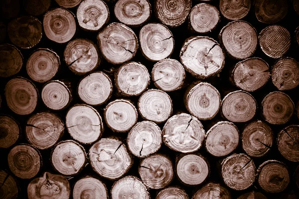 木製の質感をすぐアップ 自然の背景 — ストック写真