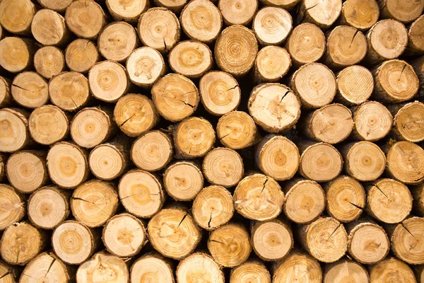 Деревянная Текстура Крупным Планом Фон Природы — стоковое фото