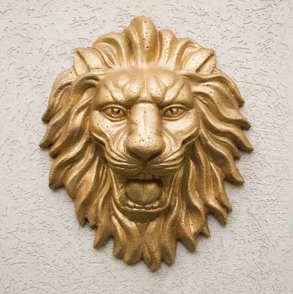 Lion Deco Dörr — Stockfoto