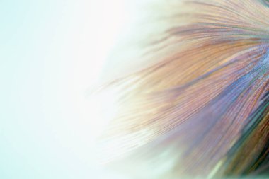 Beyaz arka plan üzerinde Soyut doku