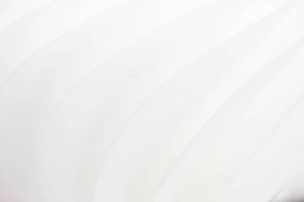 Witte Textuur Met Strepen — Stockfoto