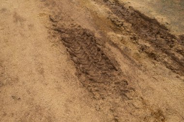 Doğa arka plan kopya alanı, açık renkli görüntü ile