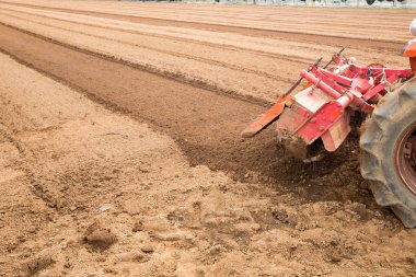Doğa arka plan kopya alanı, açık renkli görüntü ile