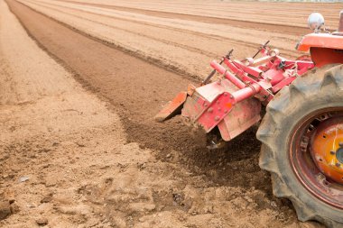 Doğa arka plan kopya alanı, açık renkli görüntü ile