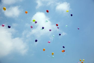 Doğa arka plan kopya alanı, açık renkli görüntü ile