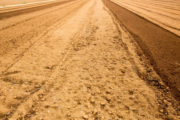 Natuur Achtergrond Met Kopie Ruimte Buiten Kleurenafbeelding — Stockfoto