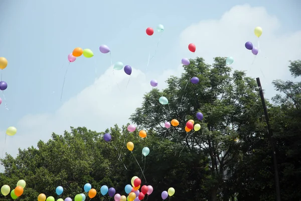 Arrière Plan Nature Avec Espace Copie Image Extérieure Couleur — Photo