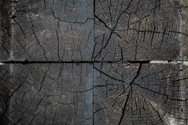 Holzstruktur Nahaufnahme Natur Hintergrund — Stockfoto