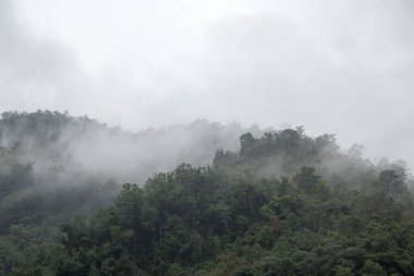 arka plan kopya alanı, renkli görüntü ile
