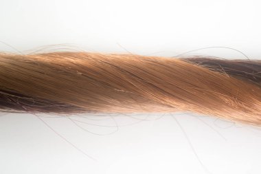 kopya alanı ile beyaz arka plan üzerinde saç yakın çekim