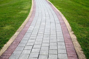 Doğa arka plan kopya alanı, açık renkli görüntü ile