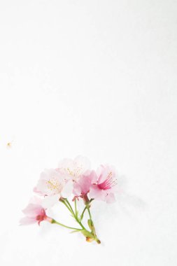 arka plan kopya alanı, renkli görüntü ile