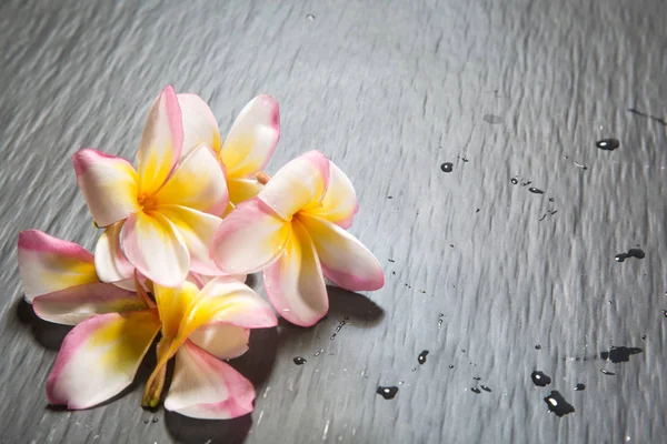 Natur Bakgrund Med Blommor Och Kopia Utrymme Färgbild — Stockfoto