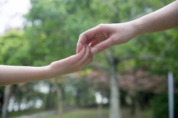 成人和孩子的手在绿色公园背景 — 图库照片