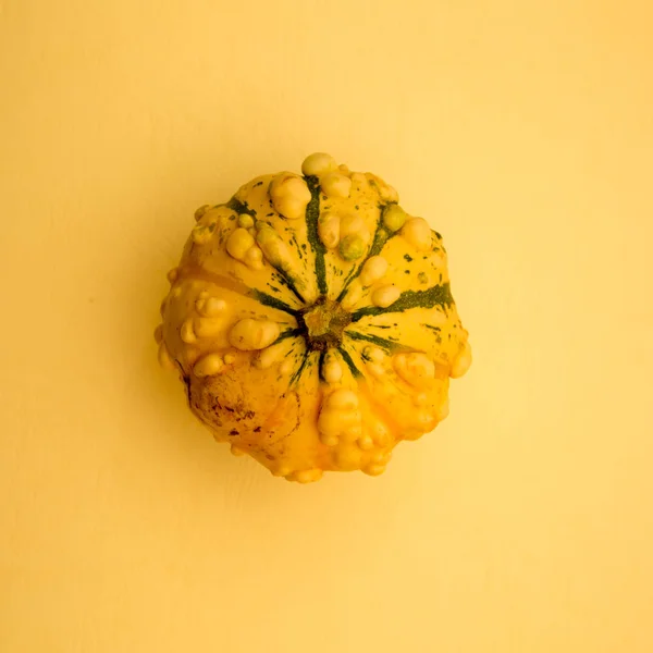 Abóbora Comida Cozinha Outono — Fotografia de Stock